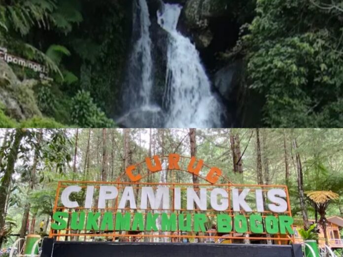 Curug Cipamingkis: Surga Alam Keluarga di Tengah Hutan Jawa Barat