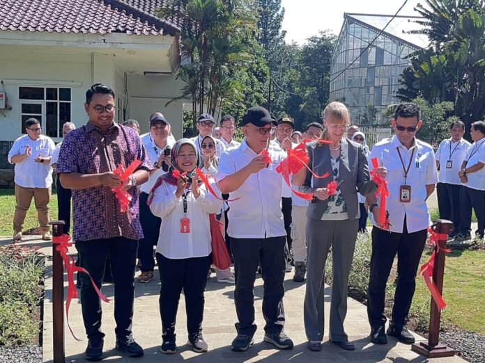 HUT Ke-208 Kebun Raya Bogor: Rumah Kaca Hoya Terbesar Terlengkap di Asia Tenggara
