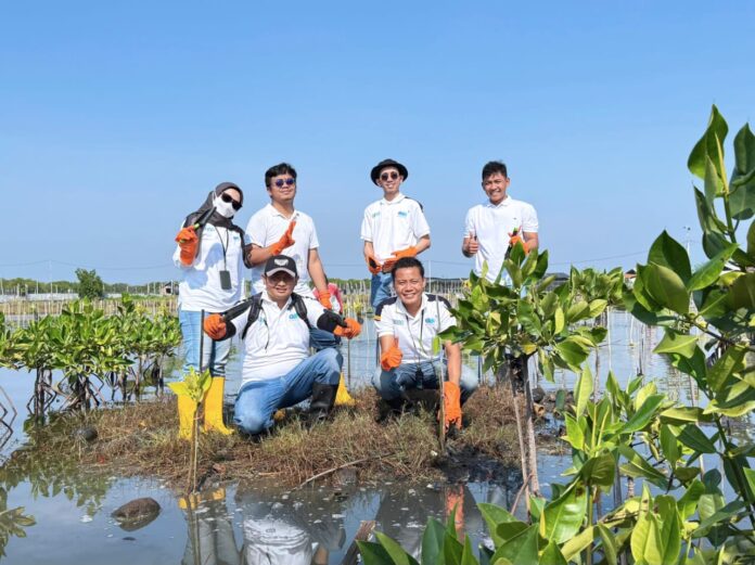 Penanaman Mangrove Serentak Mageri Segoro Dalam Rangka Hari Lingkungan Hidup Sedunia 2025 2