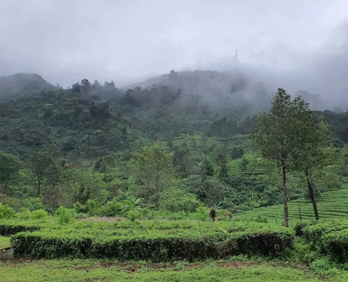 Ekowisata Indonesia: Potensi Besar, Solusi Nyata untuk Pariwisata Berkelanjutan