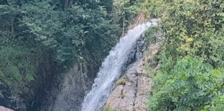 Curug Terbaik di Bogor untuk Trekking, Berenang, dan Healing Curug Bidadari Sentul, Pesona Alam dan Legenda di Tengah Sejuknya Bogor