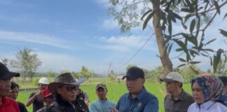 Genjot Ketahanan Pangan, Stafsus Menko AHY tinjau proyek Irigasi di Cianjur