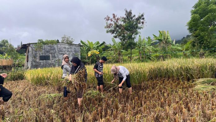 Pengabdian Mahasiswa HMPS PMI UIN Jakarta Disambut Hangat Warga Kampung Jagapati, Kabupaten Bogor