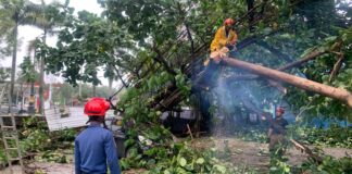 Puting Beliung Terjang Pakansari Cibinong, Atap GOR Rusak Parah hingga Pohon Tumbang Puting Beliung Terjang Pakansari Cibinong, Atap GOR Rusak Parah hingga Pohon Tumbang