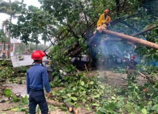 Puting Beliung Terjang Pakansari Cibinong, Atap GOR Rusak Parah hingga Pohon Tumbang Puting Beliung Terjang Pakansari Cibinong, Atap GOR Rusak Parah hingga Pohon Tumbang