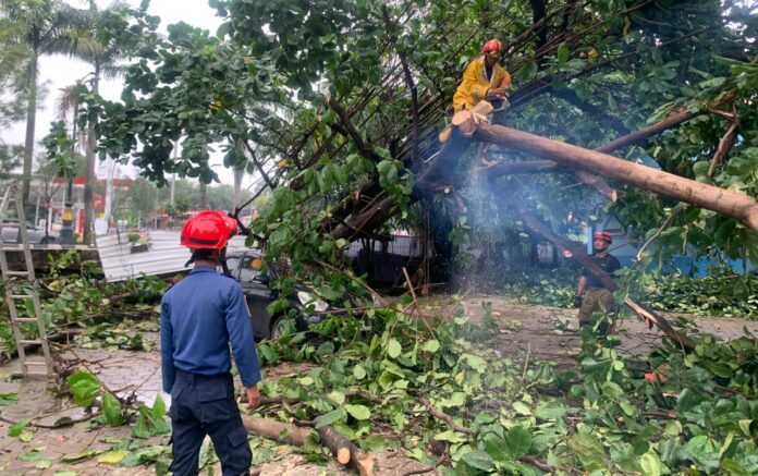 Puting Beliung Terjang Pakansari Cibinong, Atap GOR Rusak Parah hingga Pohon Tumbang