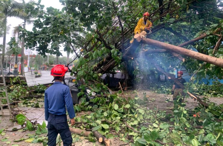 Puting Beliung Terjang Pakansari Cibinong, Atap GOR Rusak Parah hingga Pohon Tumbang Puting Beliung Terjang Pakansari Cibinong, Atap GOR Rusak Parah hingga Pohon Tumbang