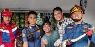 Damkar Ciawi Evakuasi Ular Sanca 3 Meter di Toko Banjarwaru, Situasi Berhasil Dikendalikan Damkar Ciawi Evakuasi Ular Sanca 3 Meter di Toko Banjarwaru, Situasi Berhasil Dikendalikan