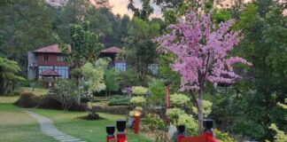 Wisata Murah di Bogor! Dusun Giok Banyak Spot Foto Instagramable Dusun Giok Bogor