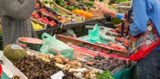 Arus Mudik Padat, Harga Pangan Ikut Naik Akibat Hambatan Logistik Arus Mudik Padat, Harga Pangan Ikut Naik Akibat Hambatan Logistik