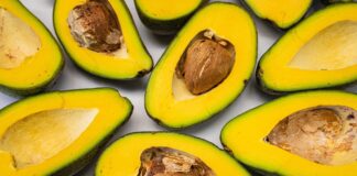 Alpukat Kaya Manfaat, Tapi Tidak Semua Orang Cocok Mengonsumsinya Alpukat Kaya Manfaat, Tapi Tidak Semua Orang Cocok Mengonsumsinya