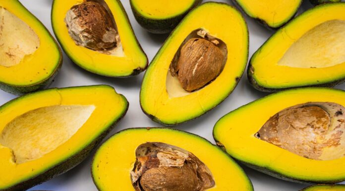 Alpukat Kaya Manfaat, Tapi Tidak Semua Orang Cocok Mengonsumsinya Alpukat Kaya Manfaat, Tapi Tidak Semua Orang Cocok Mengonsumsinya