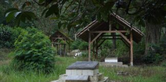 Dari Makam Tua hingga Puncak, Langkah Bupati Bogor Hidupkan Sejarah Daerah Dari Makam Tua hingga Puncak, Langkah Bupati Bogor Hidupkan Sejarah Daerah