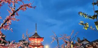 Wisata Keluarga di Puncak: Nicole’s River Park Punya Segalanya! Wisata Keluarga di Puncak: Nicole’s River Park Punya Segalanya!