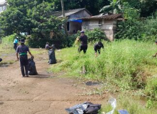 Warga Sukasari dan Komunitas Seni Gelar Aksi Bersih Ciliwung Peringati Hari Bumi 2026 Aksi Nyata Hari Bumi, Warga dan Seniman Bogor Turun Bersihkan Sungai