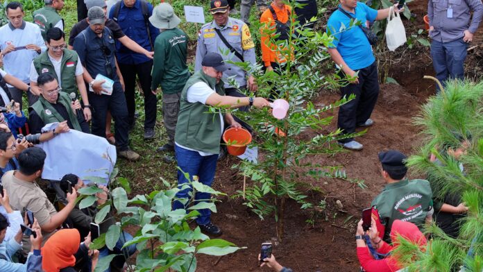 Kabupaten Bogor Percepat Pembangunan Hutan Kota, Sudah Tertanam 45 Ribu Pohon dalam 4 Bulan Kabupaten Bogor Percepat Pembangunan Hutan Kota, Sudah Tertanam 45 Ribu Pohon dalam 4 Bulan