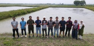 Inovasi ITB Ubah Nasib Petani Pesisir! Rumput Laut Kini Bisa Kering Tanpa Panas Matahari Inovasi ITB Ubah Nasib Petani Pesisir! Rumput Laut Kini Bisa Kering Tanpa Panas Matahari