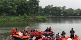 Pemkab Bogor Bergerak! Ratusan Kilogram Ikan Sapu-Sapu Ditangkap di Cibinong Pemkab Bogor Bergerak! Ratusan Kilogram Ikan Sapu-Sapu Ditangkap di Cibinong