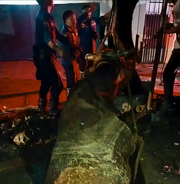 Tengah Malam, Tim Rescue Damkar Cileungsi Evakuasi Sapi Kurban yang Terjebak di Lubang Kotoran Tengah Malam, Tim Rescue Damkar Cileungsi Evakuasi Sapi Kurban yang Terjebak di Lubang Kotoran