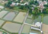 Temui Pembudidaya Ikan di Ciseeng, Bupati Bogor Siapkan Dukungan untuk Tingkatkan Produktivitas Temui Pembudidaya Ikan di Ciseeng, Bupati Bogor Siapkan Dukungan untuk Tingkatkan Produktivitas