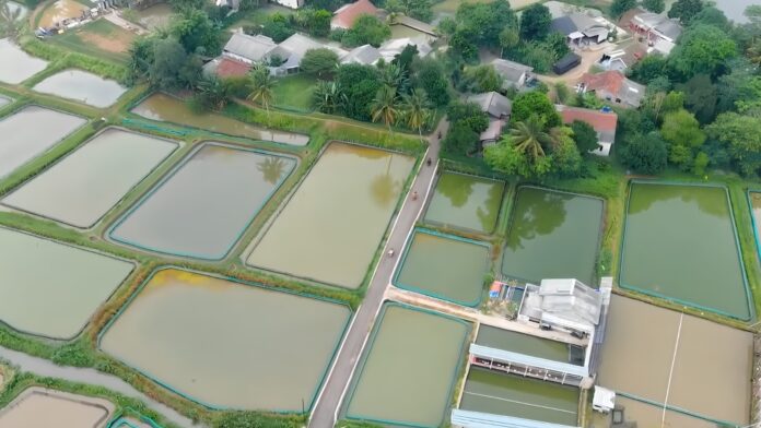 Temui Pembudidaya Ikan di Ciseeng, Bupati Bogor Siapkan Dukungan untuk Tingkatkan Produktivitas