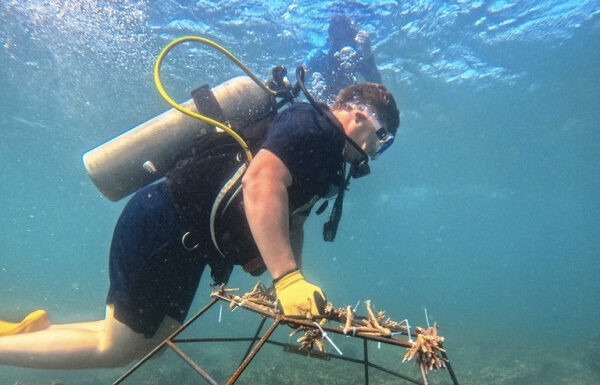 Hari Laut Sedunia 2026: Innit Lombok Ajak Tamu Terlibat dalam Konservasi Terumbu Karang Hari Laut Sedunia 2026: Innit Lombok Ajak Tamu Terlibat dalam Konservasi Terumbu Karang