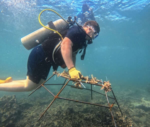 Hari Laut Sedunia 2026: Innit Lombok Ajak Tamu Terlibat dalam Konservasi Terumbu Karang Hari Laut Sedunia 2026: Innit Lombok Ajak Tamu Terlibat dalam Konservasi Terumbu Karang