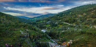 4 Hidden Gem di Perth untuk Liburan Tenang Jauh dari Keramaian 4 Hidden Gem di Perth untuk Liburan Tenang Jauh dari Keramaian