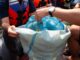Jaga Laut Dimulai dari Sungai, Novotel Greater Jakarta Ajak Komunitas Bersihkan Ciliwung Jaga Laut Dimulai dari Sungai, Novotel Greater Jakarta Ajak Komunitas Bersihkan Ciliwung
