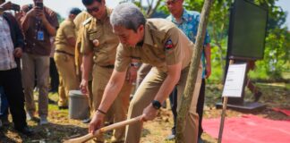 Bogor Hijau! 544 Pohon Ditanam Serentak dalam Rangka HJB ke-544 Bogor Hijau! 544 Pohon Ditanam Serentak dalam Rangka HJB ke-544