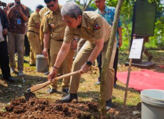 Bogor Hijau! 544 Pohon Ditanam Serentak dalam Rangka HJB ke-544 Bogor Hijau! 544 Pohon Ditanam Serentak dalam Rangka HJB ke-544