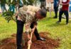 Pemkab Bogor Mulai Gerakan “Bogor Tiada Hari Tanpa Menanam”, Rudy Susmanto Tanam 2.000 Pohon Pemkab Bogor Mulai Gerakan "Bogor Tiada Hari Tanpa Menanam", Rudy Susmanto Tanam 2.000 Pohon