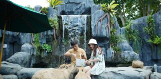 Marine Safari Bali Jadi Destinasi Liburan Sekolah Edukatif Favorit Keluarga Marine Safari Bali Jadi Destinasi Liburan Sekolah Edukatif Favorit Keluarga