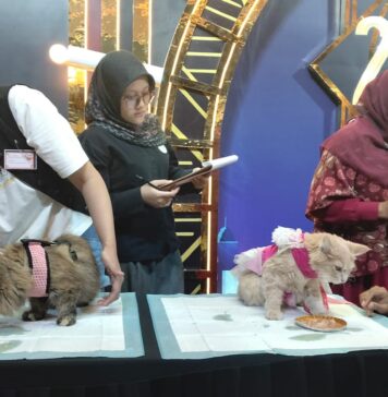 Tak Sekadar Lomba Kucing, PAWFORIA 2026 Edukasi Pemilik Anabul agar Lebih Bertanggung Jawab Tak Sekadar Lomba Kucing, PAWFORIA 2026 Edukasi Pemilik Anabul agar Lebih Bertanggung Jawab