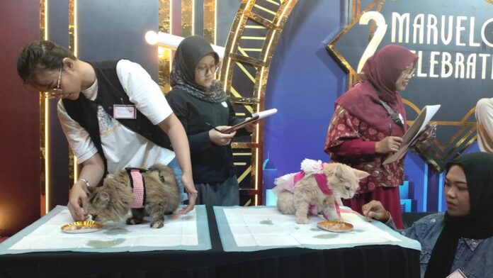 Tak Sekadar Lomba Kucing, PAWFORIA 2026 Edukasi Pemilik Anabul agar Lebih Bertanggung Jawab