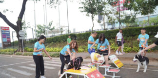 Ratusan Pawrents Ramaikan PAWJOG 9, PET KINGDOM Ajak Anabul Hidup Lebih Sehat Ratusan Pawrents Ramaikan PAWJOG 9, PET KINGDOM Ajak Anabul Hidup Lebih Sehat