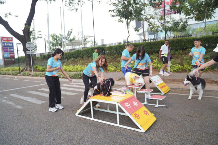 Ratusan Pawrents Ramaikan PAWJOG 9, PET KINGDOM Ajak Anabul Hidup Lebih Sehat Ratusan Pawrents Ramaikan PAWJOG 9, PET KINGDOM Ajak Anabul Hidup Lebih Sehat