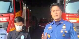 Damkar Kabupaten Bogor Evakuasi Kukang Jawa yang Masuk Permukiman Warga di Tanjungsari Damkar Kabupaten Bogor Evakuasi Kukang Jawa yang Masuk Permukiman Warga di Tanjungsari