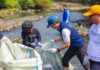 Santana KNPI Kota Bogor Resmi Diluncurkan, Wali Kota Dedie Ajak Pemuda Jaga Sungai Ciliwung Santana KNPI Kota Bogor Resmi Diluncurkan, Wali Kota Dedie Ajak Pemuda Jaga Sungai Ciliwung