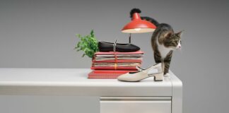 Bata Ajak Pekerja Urban Utamakan Kenyamanan Lewat Kampanye Make Yourself Comfortable Bata Ajak Pekerja Urban Utamakan Kenyamanan Lewat Kampanye Make Yourself Comfortable