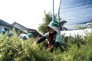 EIGER Nature Hadir di Bogor, Bawa Konsep Ekowisata dengan Petualangan yang Lebih Bermakna