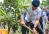 FMP 2026 Tanam Pohon Alpukat di Masjid Al Kautsar, Dorong Lingkungan Hijau dan Kemandirian Ekonomi FMP 2026 Tanam Pohon Alpukat di Masjid Al Kautsar, Dorong Lingkungan Hijau dan Kemandirian Ekonomi