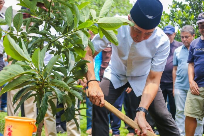 FMP 2026 Tanam Pohon Alpukat di Masjid Al Kautsar, Dorong Lingkungan Hijau dan Kemandirian Ekonomi FMP 2026 Tanam Pohon Alpukat di Masjid Al Kautsar, Dorong Lingkungan Hijau dan Kemandirian Ekonomi