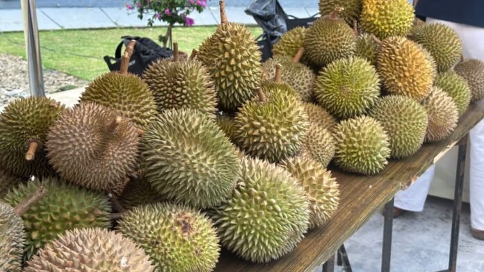 Festival Durian Bogor di Sentul, Dorong Durian Lokal Tembus Pasar Global