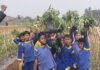 253 Siswa Ikuti Eduwisata Ketahanan Pangan Bomang, Belajar Pertanian dan Peduli Lingkungan 253 Siswa Ikuti Eduwisata Ketahanan Pangan Bomang, Belajar Pertanian dan Peduli Lingkungan