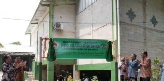 UNB Menuju Industrial University, Perkuat Hilirisasi Riset dan Ekosistem Kewirausahaan UNB Menuju Industrial University, Perkuat Hilirisasi Riset dan Ekosistem Kewirausahaan