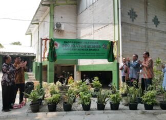 UNB Menuju Industrial University, Perkuat Hilirisasi Riset dan Ekosistem Kewirausahaan UNB Menuju Industrial University, Perkuat Hilirisasi Riset dan Ekosistem Kewirausahaan