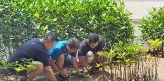 Pulau Tidung Jadi Lokasi Aksi Konservasi Keempat Mangrove Jakarta Impact dan Digital Edge Indonesia Pulau Tidung Jadi Lokasi Aksi Konservasi Keempat Mangrove Jakarta Impact dan Digital Edge Indonesia