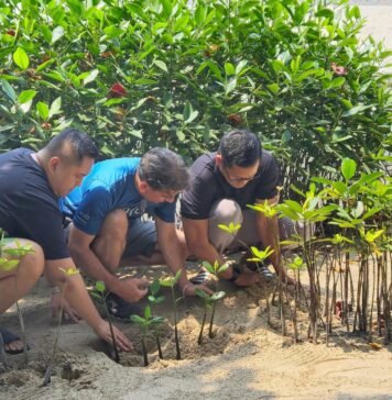 Pulau Tidung Jadi Lokasi Aksi Konservasi Keempat Mangrove Jakarta Impact dan Digital Edge Indonesia Pulau Tidung Jadi Lokasi Aksi Konservasi Keempat Mangrove Jakarta Impact dan Digital Edge Indonesia