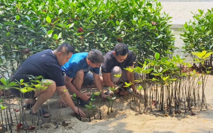 Pulau Tidung Jadi Lokasi Aksi Konservasi Keempat Mangrove Jakarta Impact dan Digital Edge Indonesia Pulau Tidung Jadi Lokasi Aksi Konservasi Keempat Mangrove Jakarta Impact dan Digital Edge Indonesia